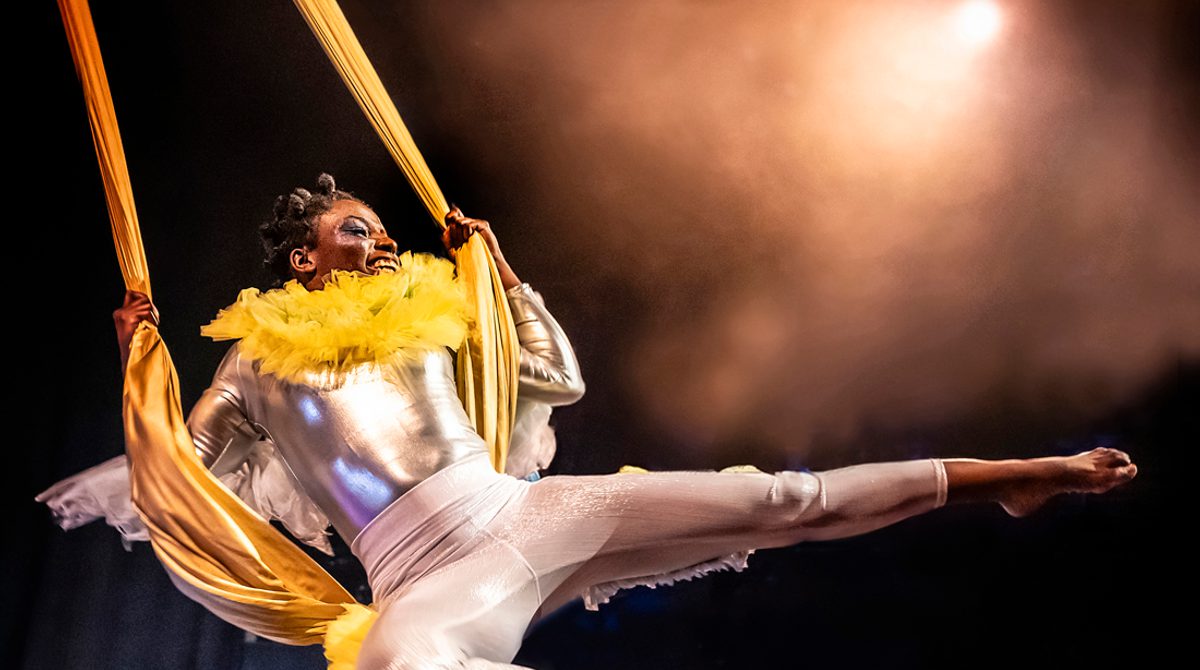 take flight — Playhouse