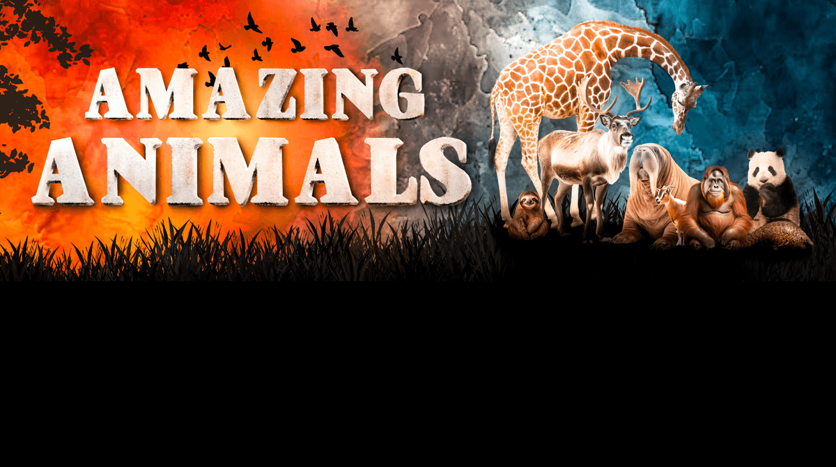 Text reads 'Amazing Animals'. A graphic of a savanna with a giraffe, sloth, walrus, orangutan, panda and more on the right hand side. There are birds flying above the title.