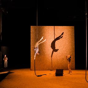 An aerial artist hangs from a rope from above. She is upside down, her body curved into a ‘c’ shape. Her shadow sits perfectly behind her.