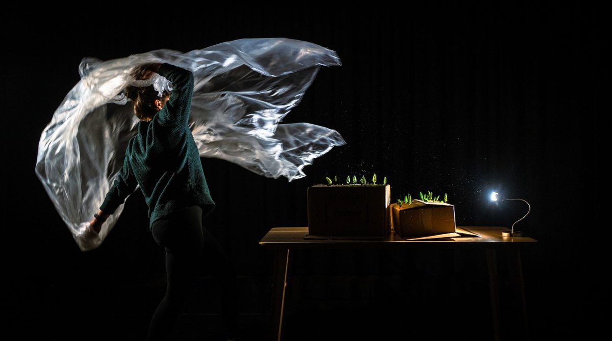 Against a dark background a person in a dark green jumper lifts a plastic sheet in the air revealing a table with cardboard boxes that have small tree figures poking out the the top. A small table lamp illuminates the scene.